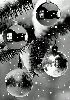 black and white photograph of christmas ornaments hanging from a tree with snow falling on it