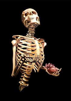 a skeleton holding a piece of food in it's hand