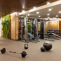 an indoor gym with exercise equipment and plants on the wall behind it in a large room