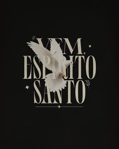 a white bird flying through the air with words above it that read ym espiloto sanito