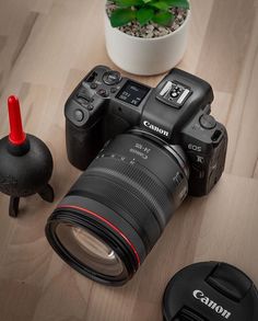 a camera sitting on top of a wooden table next to a potted plant