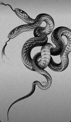 a black and white drawing of a snake