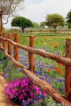 a wooden fence surrounded by wildflowers and other flowers on a farm field with trees in the background