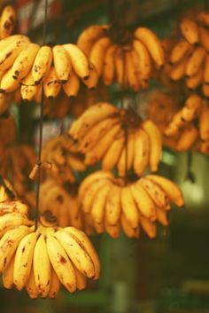 bunches of bananas hanging from hooks in a store