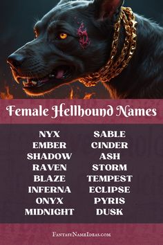 a black dog with chains on its neck and name tags in front of the words female hellound names