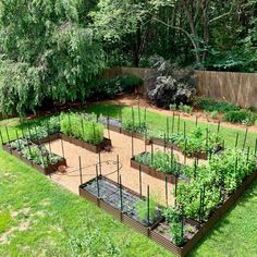 an aerial view of a garden with many plants in the center and several raised beds on each side