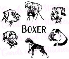 four different types of dogs with the word boxer on it's chest and head