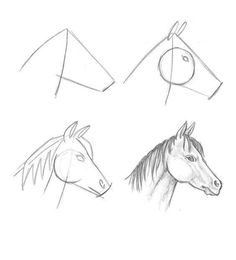 three horses are shown with different shapes in the drawing style, including one horse's head