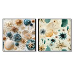 two pictures with shells and seashells on them