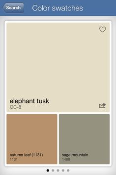 the color swatches on an iphone screen