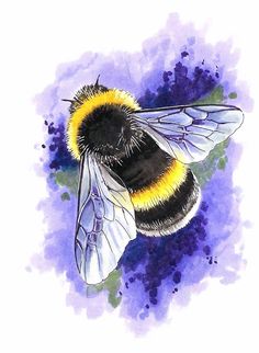 a drawing of a bee on a purple and blue background with watercolor splashes