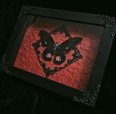 a black and red butterfly in a frame