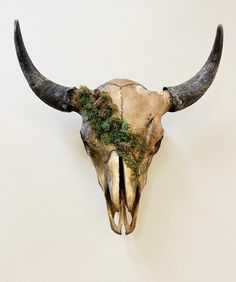 an animal skull with moss growing on it's side, against a white wall