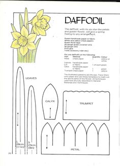 the instructions for daffodil flowers are shown in this paper doll's book