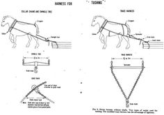 the diagram shows how to make a horse harness