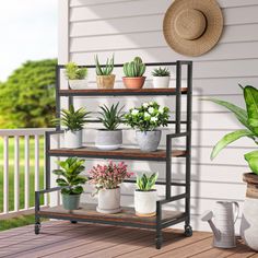 Simple plant stand with three levels, different sizes of dividers can perfectly match your flower pots, you can put big flower pots or small flower pots. Simple and practical design, it can be used as a plant stand as well as a shelf. 17 Stories | 17 Stories Keryl 3 Tier Plant Stand Indoor Outdoor Plant Ladder Shelf Rack w / Wheels Industrial Plant Shelf for Patio Garden Balcony Living Room 37.17 H x 31.26 W x 13.78 D in brownWood / Metal / Manufactured Wood | 37.17" H X 31.26" L X 13.78" D | Wa Plant Ladder Shelf, Plants Rack Outdoor, 3 Tier Plant Stand, Tiered Plant Stand Indoor, Ladder Stand, Tier Plant Stand, Rustic Plant Stand, Shelves Rack, Plant Ladder