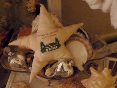 an assortment of seashells and starfish on display