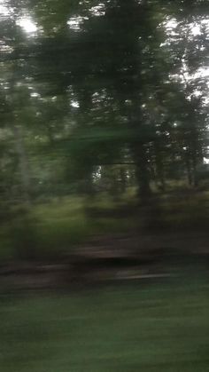 a blurry photo of trees and grass in the foreground, with a bench on the far side