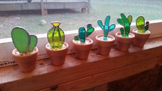 there are many small potted plants on the window sill