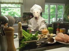 a dog in a chef's outfit preparing food on a kitchen counter with utensils