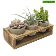 three succulents are sitting in cement pots on a wooden stand