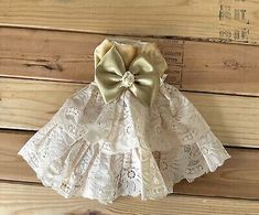 Dog/Cat/Pet Fancy Velvet Ruffles Dress XXS  New Handmade Lace skirt  | eBay Pet Breeds, Gold Velvet, Handmade Lace, Lace Ruffle, Velvet Tops, Ruffle Skirt