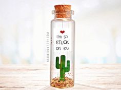 a glass bottle with a cactus inside and i'm so stuck on you written in it