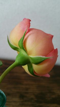 a pink rose in a green vase on a table