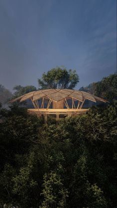 a bamboo structure in the middle of some trees