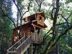 a tree house with stairs leading up to it