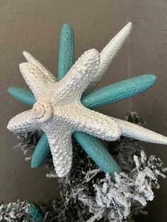 a white and blue starfish ornament hanging from a tree