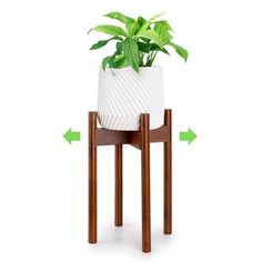 a potted plant sitting on top of a wooden stand with arrows pointing to it