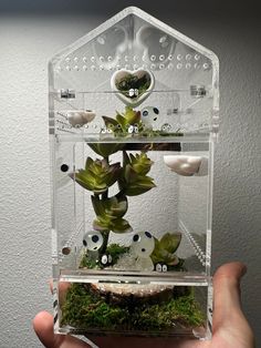 a person holding up a clear case with plants in it