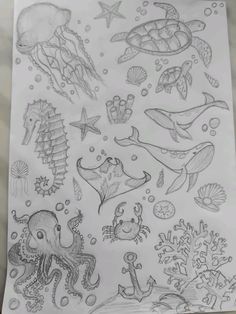 a sheet of paper with drawings on it and some sea animals in the background,