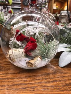 a red bird sitting on top of a glass bowl filled with snow and pine branches