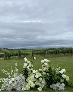 white flowers and greenery in the middle of a green field with vineyards in the background