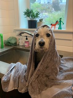 a dog is wrapped up in a towel