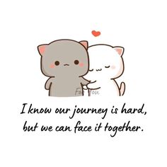 two cats hugging each other with the caption i know our journey is hard, but we can face it together