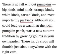 there is no fall without pumpkins - big kids, mini kinds, orange kinds