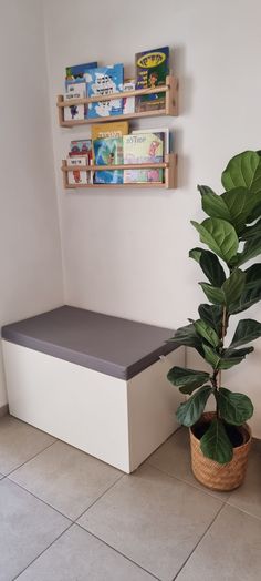 a potted plant sitting on top of a white bench next to a book shelf