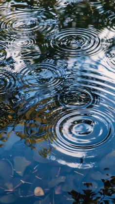 ripples in the water with trees reflected on it