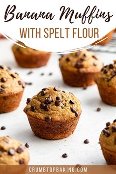 Spelt flour chocolate chip banana muffins arranged on a white surface. Spelt Flour Banana Muffins, Spelt Flour Muffin Recipes, Spelt Banana Muffins, Spelt Flour Banana Bread, Recipes Using Spelt Flour, Spelt Flour Cake Recipes, Spelt Flour Muffins, Alkaline Desserts, Milling Flour