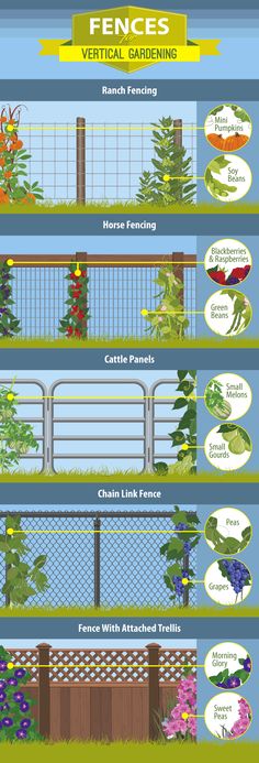 the different types of fences and how to use them