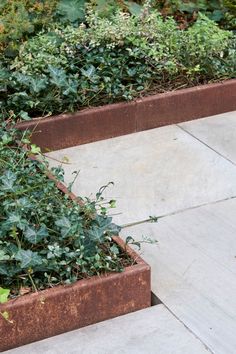 two planters filled with green plants sitting on top of a sidewalk