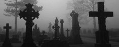 a cemetery with many crosses in the fog