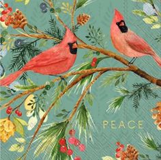 two red birds sitting on top of a tree branch next to pine cones and berries