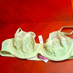 Questions? Leave A Comment Below!Bra Green Lace Bra With Padded Cups, Green Fitted Lace Bra, Elegant Green Bra With Padded Cups, Elegant Green Underwire Bra, Elegant Green Bra With Lace Trim, Elegant Green Lace Bra, Elegant Green Spring Bra, Adore Me, Lace Bra