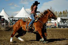 Barrel Patch blogger, Kendra Edey, participated in the "Hell or High Water Rodeo" fundraiser - here's her recap: http://www.westernhorsereview.com/blogs/the-barrel-patch/wrapping-up-after-the-hell-or-high-water-rodeo Hell Or High Water, Nike Quotes, Country Aesthetic, Western Photography, Rodeo Horses, Rodeo Life