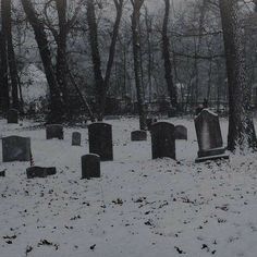 an old cemetery in the snow surrounded by trees