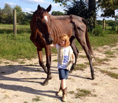 Jo Jo Gypsy was rescued by Jeanne Mirabito of Our Mims Retirement Haven. She is pictured with Jeanne's granddaughter. Amazing Horses, 3 Horses, Horse Treats, Jo Jo, Horse Health, Creative Things, Thoroughbred, Animal Welfare, Horse Tack